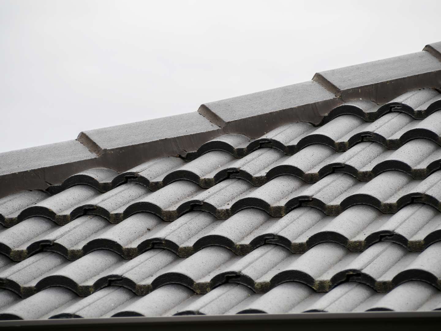 roofer Brighton